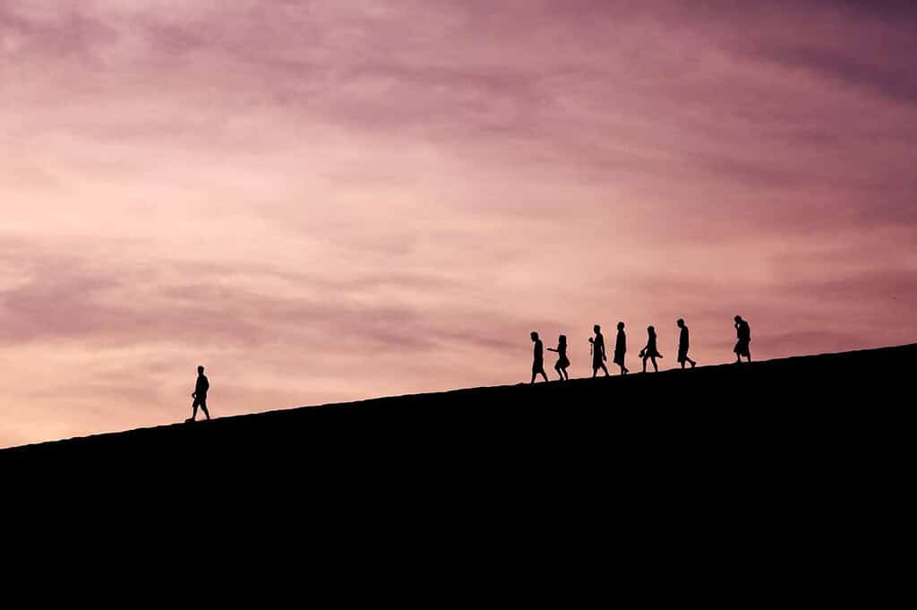 Gode ledere er gode forvaltere 17 jehyun sung 486247 unsplash
