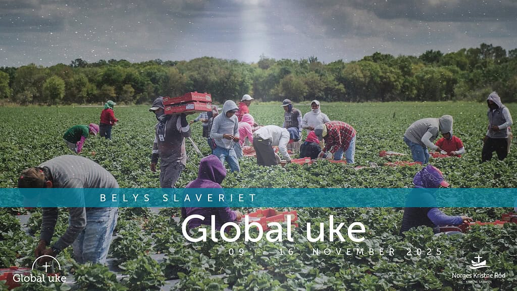 Global uke