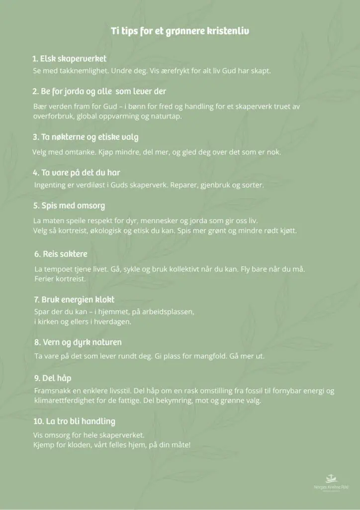 ti tips for et gronnere liv Bilde